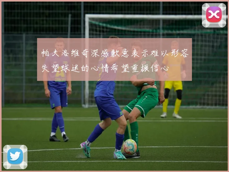 帕夫洛维奇深感歉意表示难以形容失望球迷的心情希望重振信心