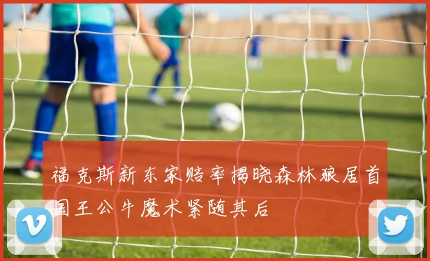 福克斯新东家赔率揭晓森林狼居首国王公牛魔术紧随其后